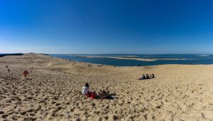 Référencement local Google : Comment être trouvé par les touristes du bassin d’Arcachon ?