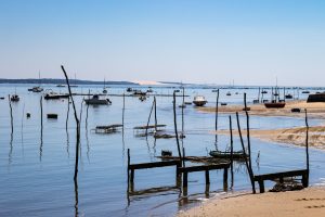 Guide, balade en pinasse et ostréa-tourisme sur le bassin : remplissez vos sorties en ligne